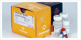 MethylEdge™ Bisulfite Conversion System 11358TA